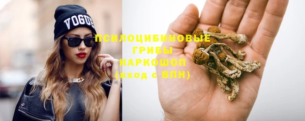 эйфоретик Баксан