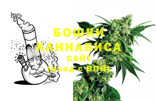 эйфоретик Баксан
