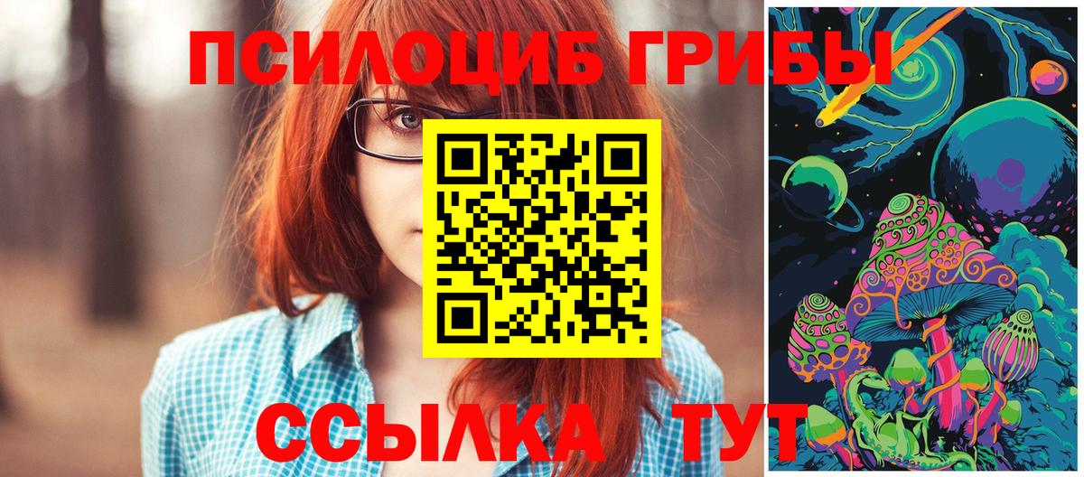 Псилоцибиновые грибы Magic Shrooms Нерюнгри