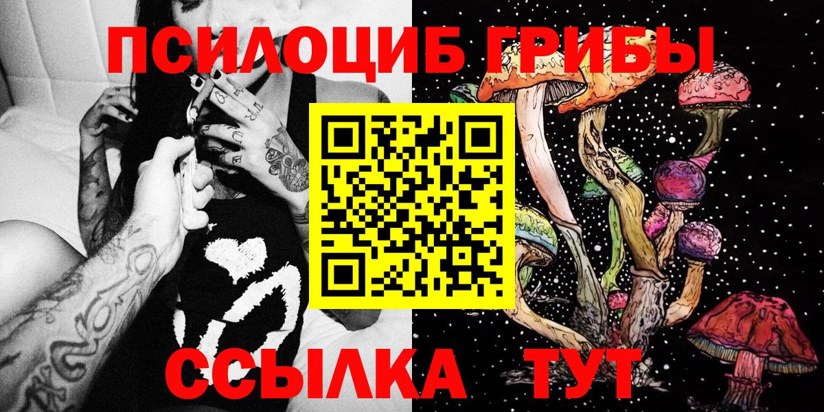 Псилоцибиновые грибы мицелий  Вход с VPN  Нерюнгри  Галлюциногенные грибы Psilocybe 